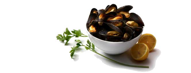 Mussels