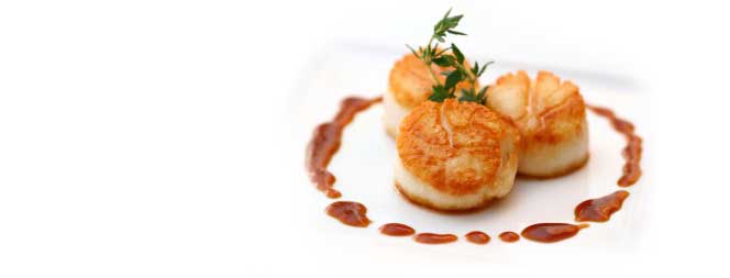 Scallops